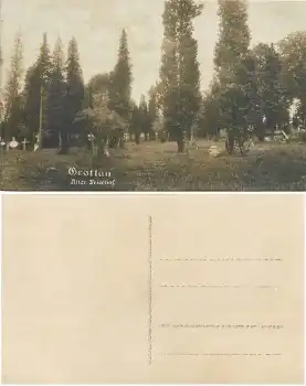 Grottau Hrádek nad Nisou Alter Friedhof Echtfotokarte *um 1920
