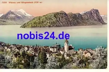 Vitznau und Bürgenstock *ca.1920