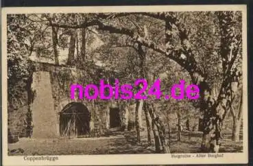 31863 Coppenbrücke Burgruine Burghof *ca.1920