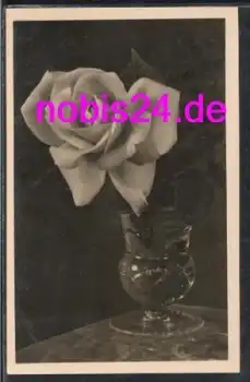 Rose im Glas Foto  *ca.1930