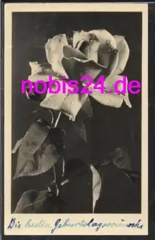 Rosen Geburtstagskarte *ca.1956