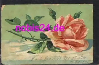 rosa Rose Künstlerkarte * ca. 1915