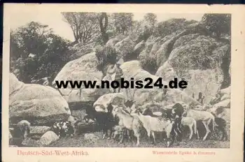 Wasserstelle Epako bei Omaruru mit Ziegen *ca. 1900