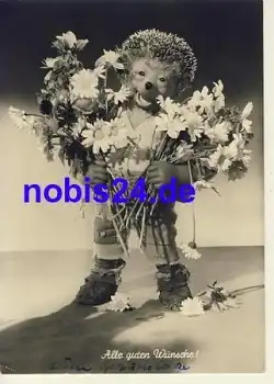Mecki mit Blumen Nr. 27 Igel o 1962