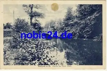 Budyse Partie na Male Ohri o 1938