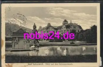 36364 Bad Salzschlirf Schwanenteich o 2.7.1918