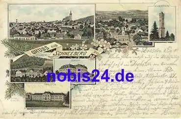 08289 Schneeberg Sachsen Litho Gymnasium Seminar o 1900