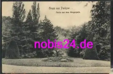 Pankow Berlin Bürgerpark o 25.5.1909