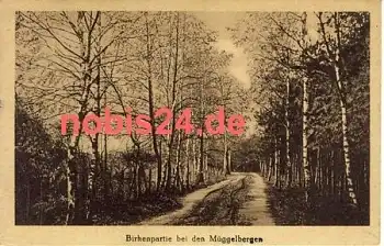 Treptow Berlin Müggelberge Birkenpartie o 7.8.1920