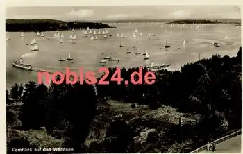 Wannsee Berlin Fernblick Segelboote *ca.1940