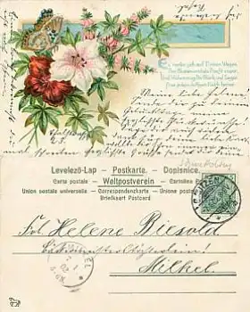 Schmetterling mit Blumen o 7.1.1902