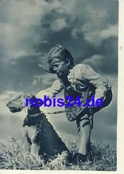 Terrier Hund und Kind o 1960