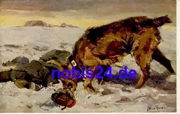 Sanitätshund Künstlerkarte * ca.1915