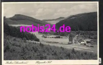59929 Brilon Hoppecke Tal *ca.1930