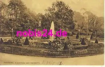 09599 Freiberg Albertpark Freitreppe o 31.5.1912
