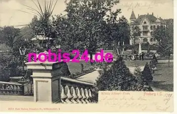 09599 Freiberg König Albert Park o 6.11.1909