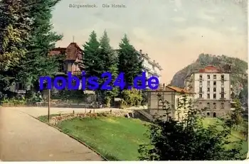 Bürgenstock Die Hotels *ca.1920