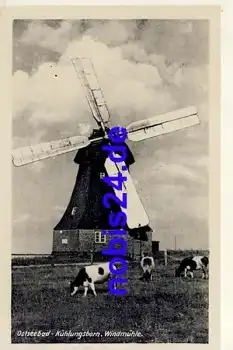 18225 Kühlungsborn Windmühle Kühe o 1956