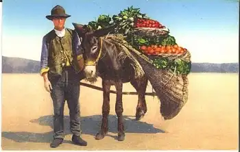 Obsthändler mit Maultier *ca. 1930