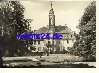 01768 Reinhardtsgrimma Schloss *ca.1970