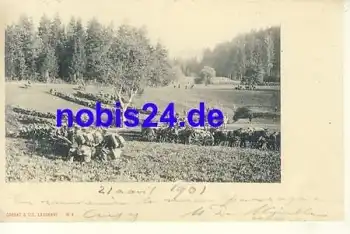 Schweiz - Militär auf dem Felde *ca.1901