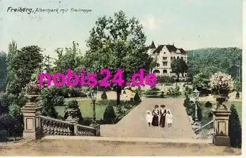 09599 Freiberg Albertpark Freitreppe o 20.1.1914