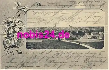 09599 Freiberg Panoramaansicht o 3.11.1903