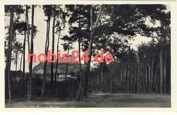 Kuneticka Hora Burgansicht o ca.1950