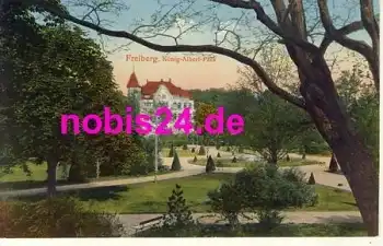 09599 Freiberg Sachsen König Albert Park *ca.1915