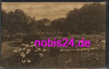 Hamburg Rosarium *ca.1930