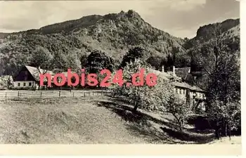 Z Jizerskych hor *ca.1950