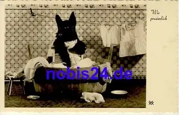 Hund beim Wäschewaschen *ca.1935