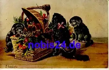 Junge Hunde Künstlerkarte *ca.1915