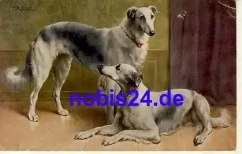 Persische Windhunde Künstlerkarte Reichert *ca.1915