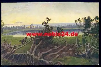 Schwarzwaldserie V Blatt 11 Hornsee Künstlerkarte H. Hoffmann *ca. 1910