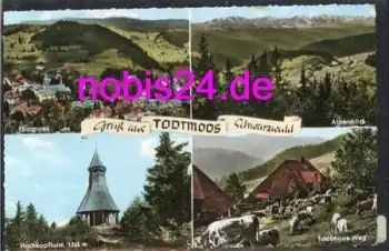 79682 Todtmoos Schwarzwald o 25.6.1964