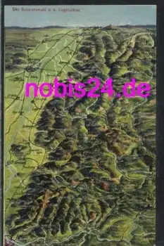 Schwarzwald Vogelschau *ca.1910