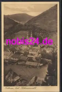 79674 Todtnau Schwarzwald o 1.8.1929