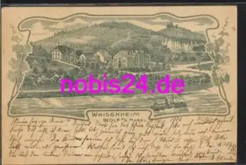 56841 Wolf Mosel  Waisenheim Vorläufer Litho o 1903