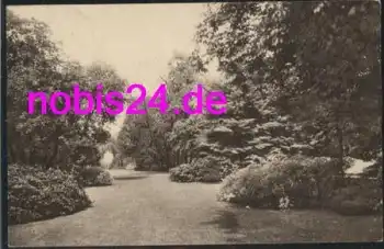 Baden-Baden Allee o 14.7.1929