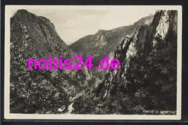 06502 Bodetal *ca.1950