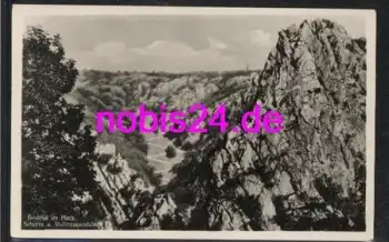 06502 Bodetal im Harz  Schurre  *ca.1930