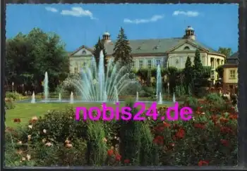 97688 Bad Kissingen Rosengarten *ca.1975