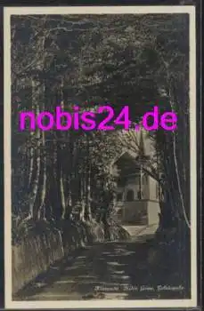 Küssnacht Hohle Gasse Tellskapelle  o ca.1910