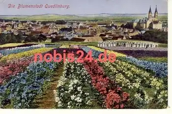 06484 Quedlinburg mit Blumenfeldern o ca.1918