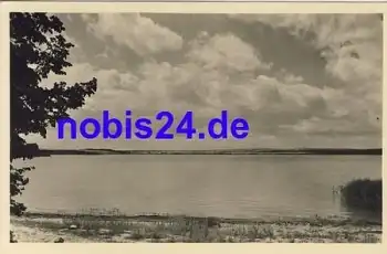 Trebon rybnik Dvoriste o ca.1950