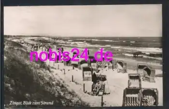 18374 Zingst Strandleben o ca.1961