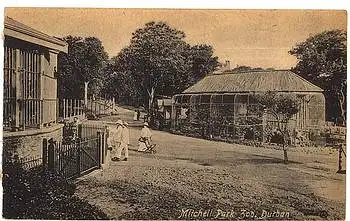 Durban Suedafrika Mitchell Park Zoo Tierpark* ca. 1910