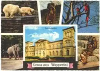 Wuppertal Tierpark Zoo o ca. 1970