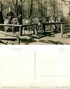 Esel an der Wartburg bei Eisenach *ca. 1960